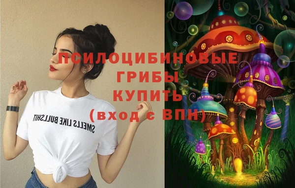 бошки Мегион