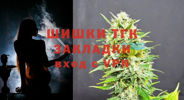 бошки Мегион