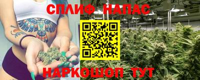 ПСИЛОЦИБИНОВЫЕ ГРИБЫ Аргун