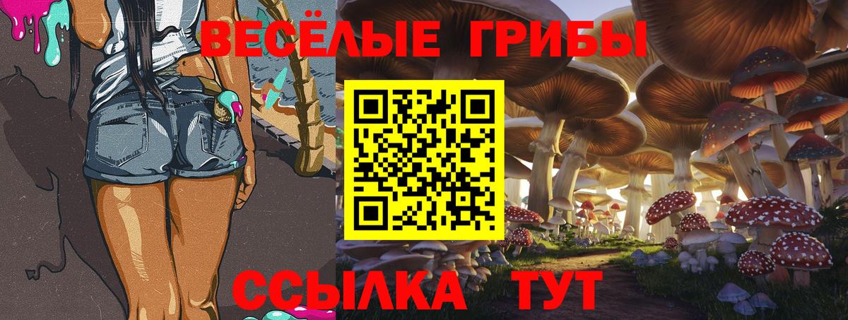Галлюциногенные грибы мухоморы Архангельск