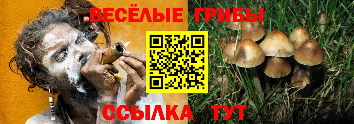 Галлюциногенные грибы Psilocybine cubensis  Вход с VPN  что такое наркотик  Архангельск 